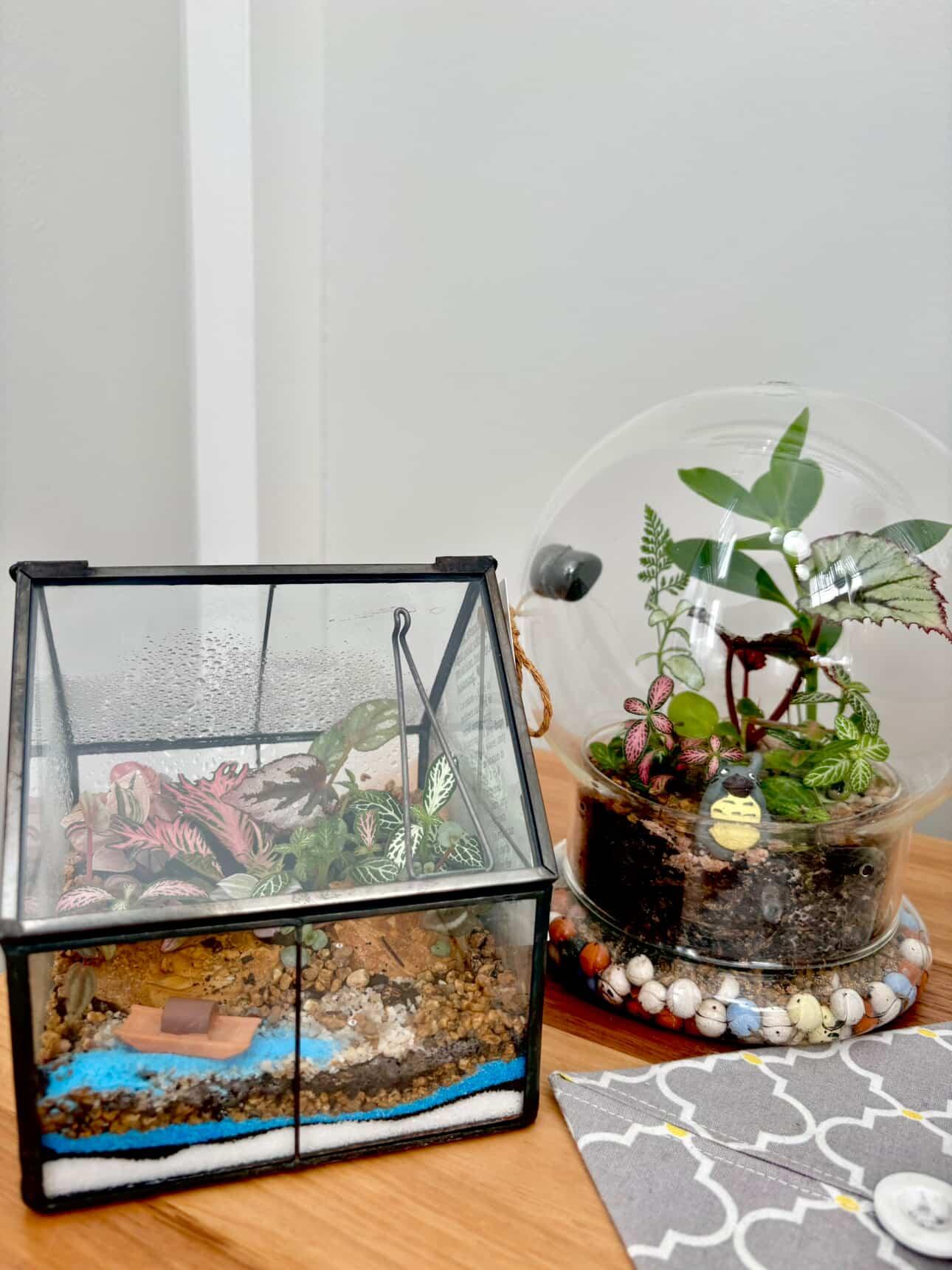 Terrarium Glasshouse