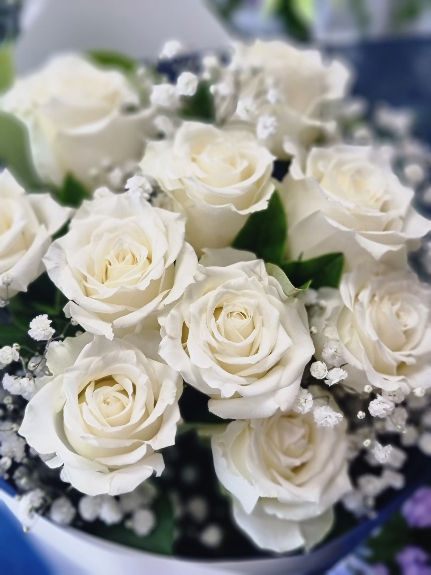 White Rose Bouquet With Gyp