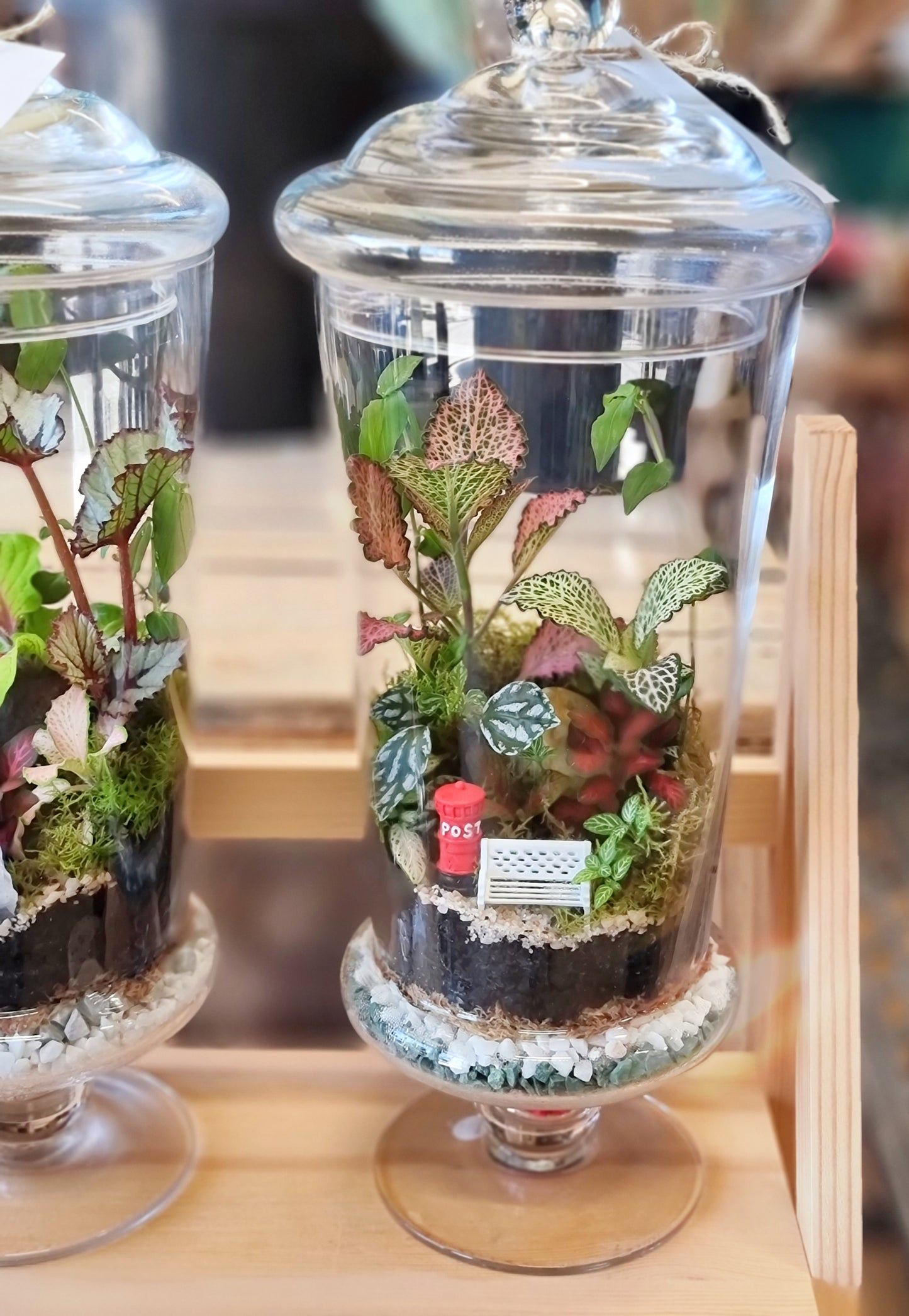 Terrarium ExtraTall