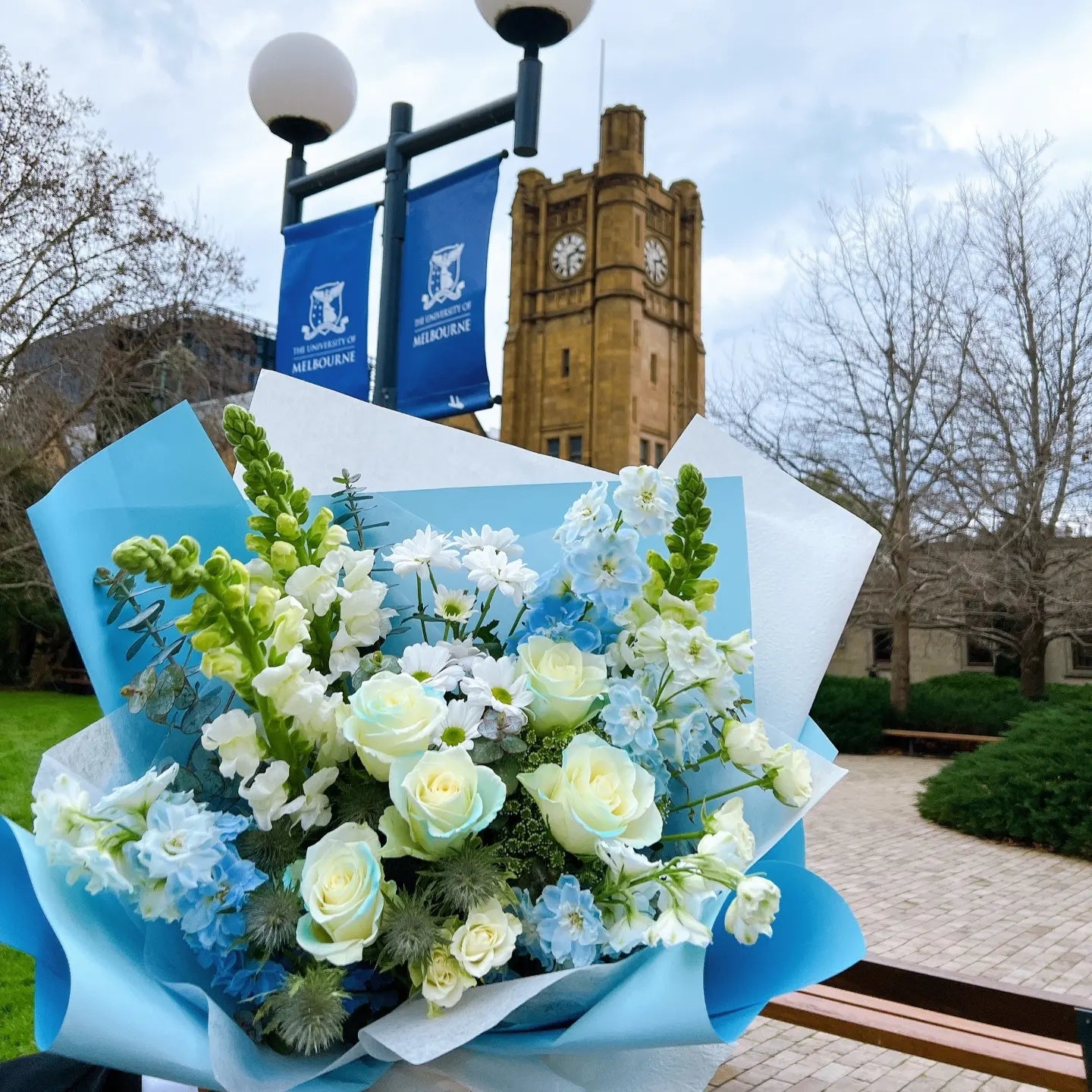 Premium blue graduation bouquet with blue roses and white delphinium delivered to The University of Melbourne campus.