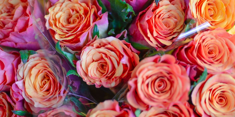 5 Alternate Gift Options For The Flower Lovers – Check Them Out!