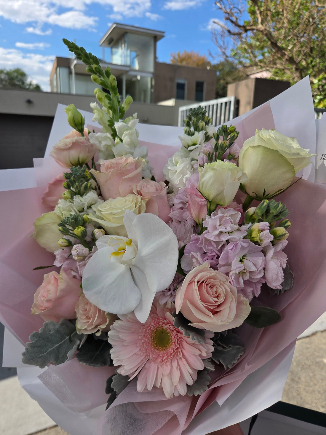 Flower Delivery in Hawthorn: A Soft Blush Bouquet with White Orchid