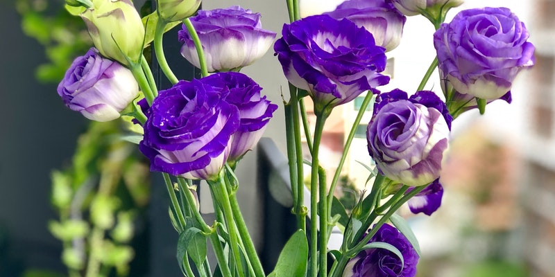 Alternate Ways To Decorate Fresh Flowers Than Glass Vases