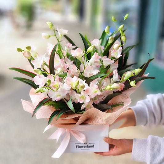 Same-day flower delivery in Camberwell: An elegant arrangement of pink and white blooms, ideal for homecomings, weekly rituals, and Sunday lunches in Camberwell.