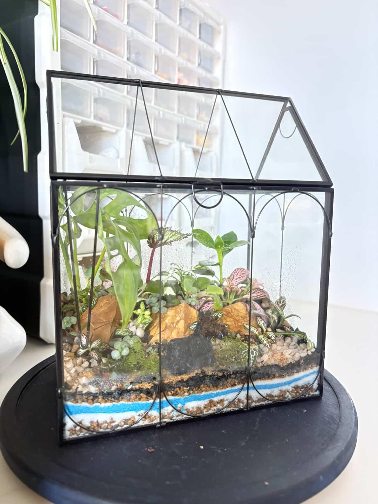 Terrarium Glasshouse