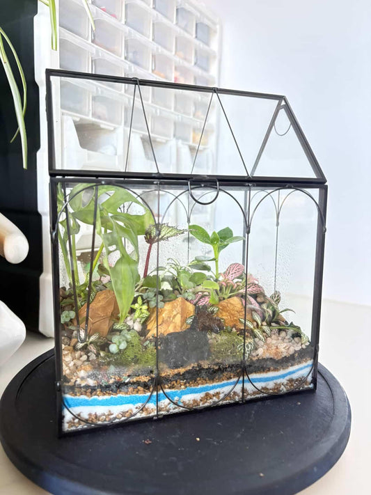 Terrarium Glasshouse