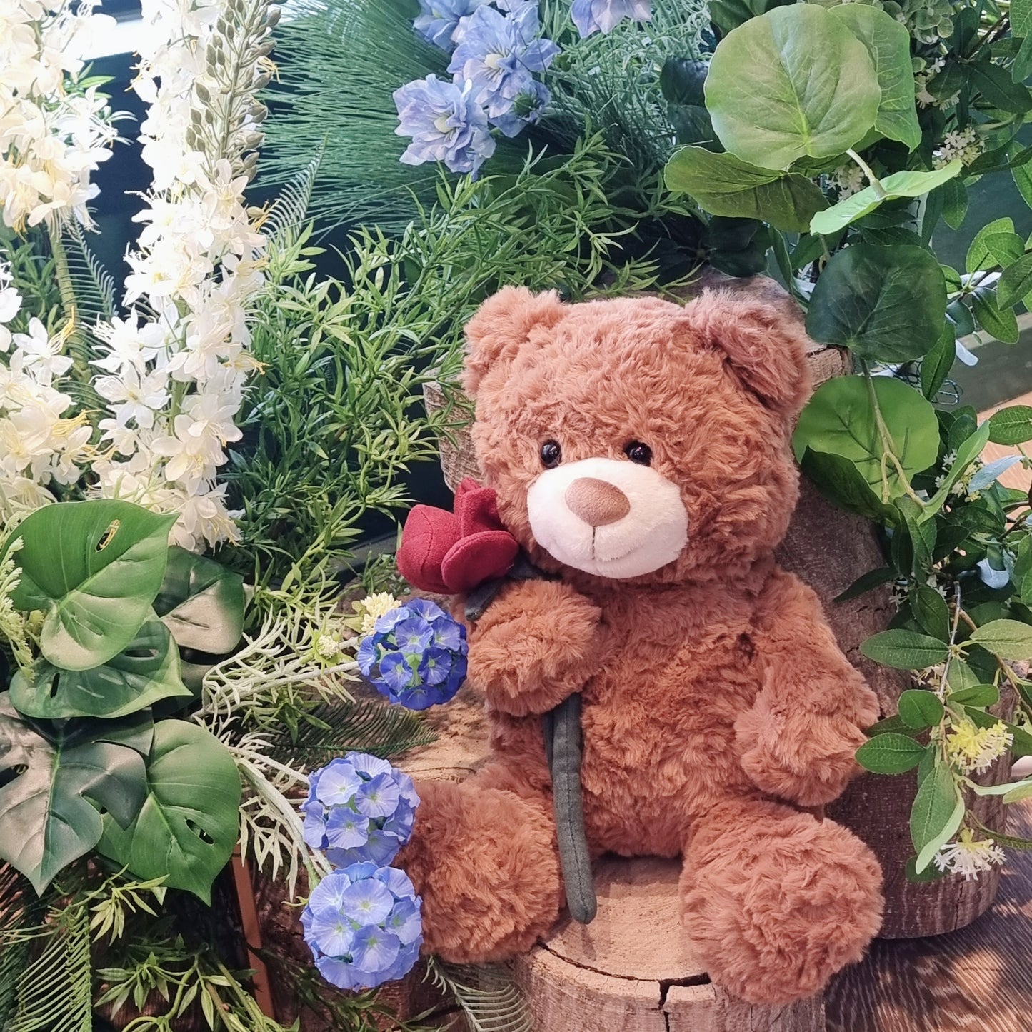 Fluffy 35cm sitting teddy bear holding a single premium red rose surrounded by garden greenery same-day delivery The Flowerland Nunawading