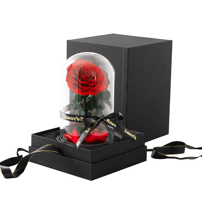 Luxury Forever Rose arrangement featuring three premium preserved red roses inside a 33cm glass dome with a sleek black gift box same-day delivery The Flowerland Nunawading