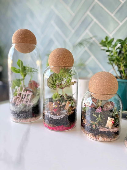 A collection of miniature living rainforest terrariums in glass vessels ready for professional same-day courier delivery to homes in Doncaster.