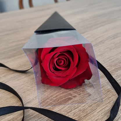 Premium single red rose romantic gift wrapped in black craft cone paper prepared for same-day delivery to recipients in Box Hill.