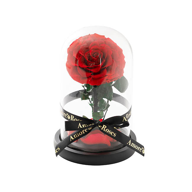 Detailed view of the premium everlasting preserved red rose glass dome gift ready for safe courier delivery to luxury properties in Doncaster.