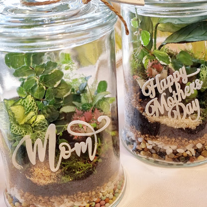 Mum's Garden terrarium