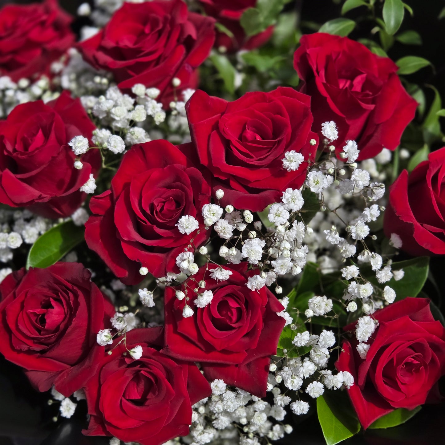 Classic Red Roses and Gyp