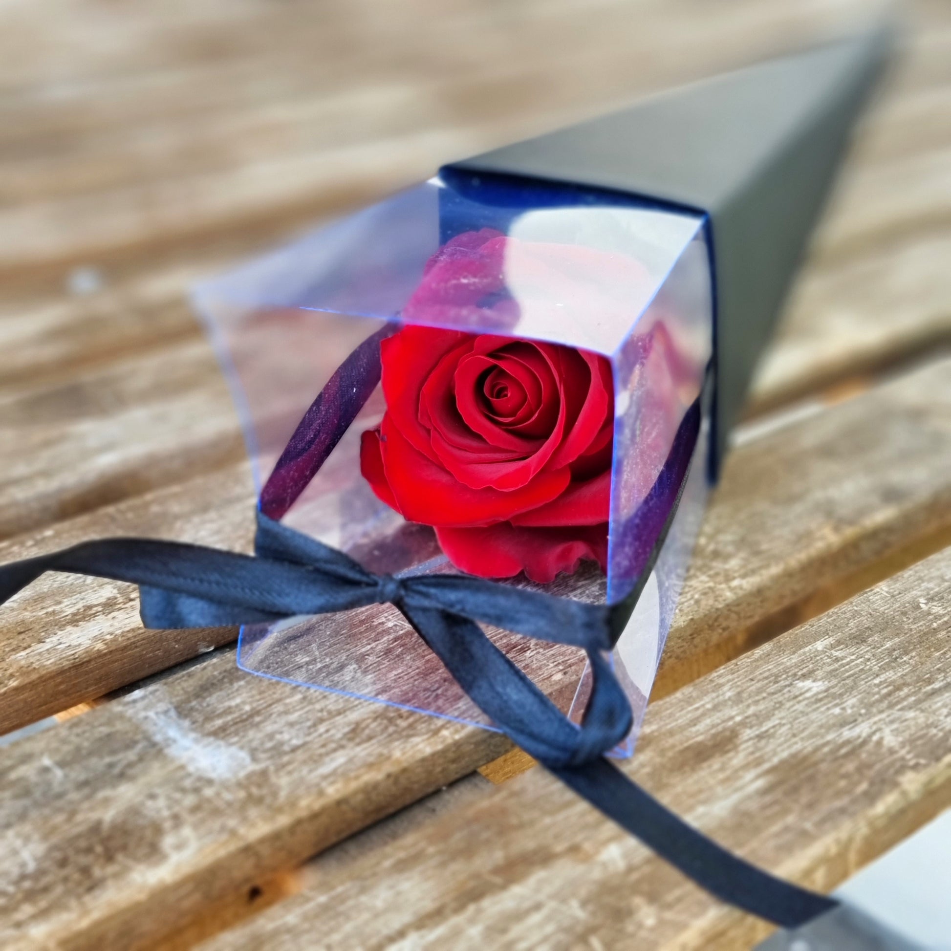 Elegant premium single long stem red rose presented in a sleek black craft cone with blue ribbon same-day delivery The Flowerland Nunawading