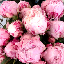 Load image into Gallery viewer, Peony Bouquet -Flower Delivery Nunawading
