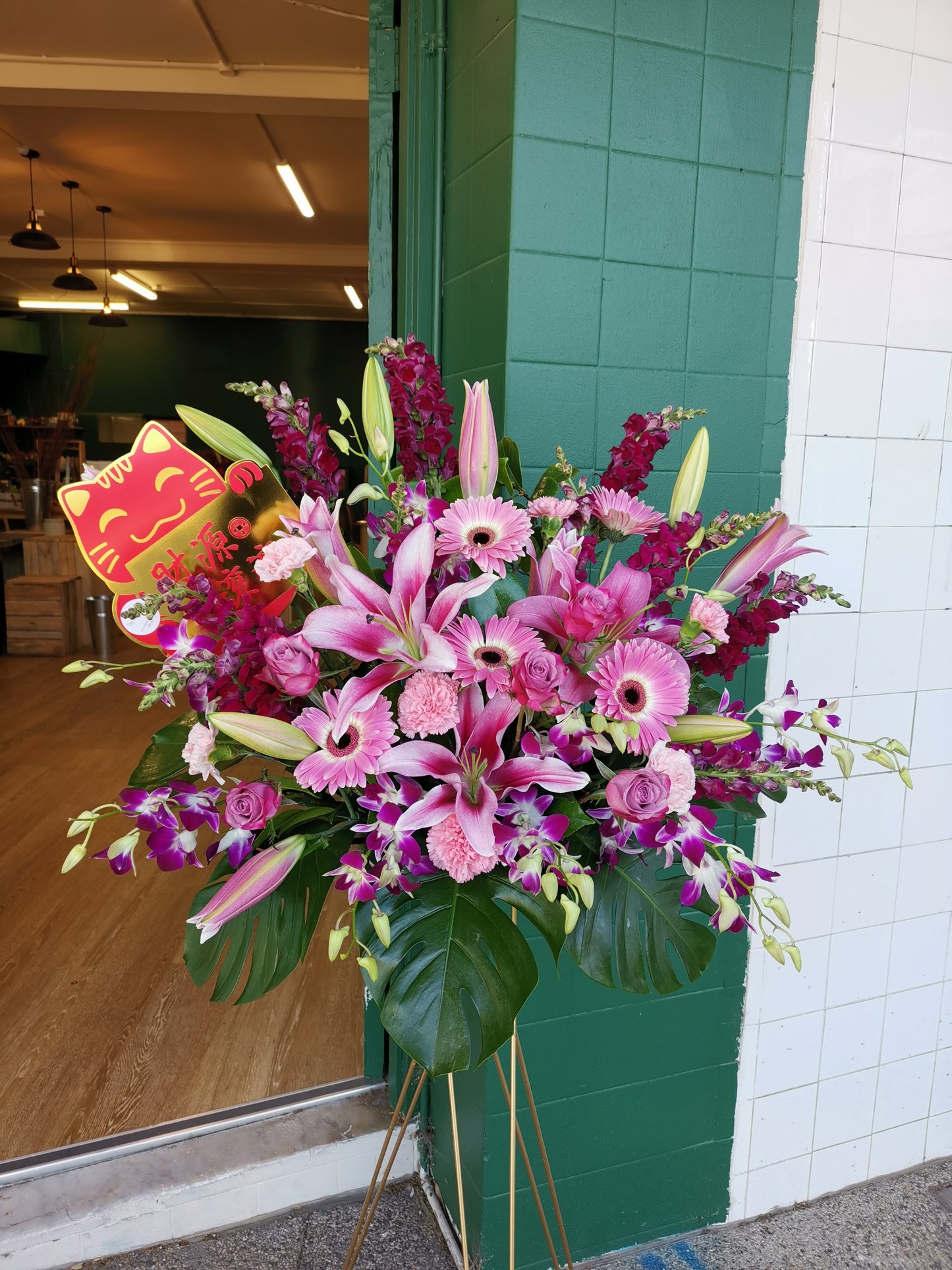 Grand Opening Stand 150-160cm