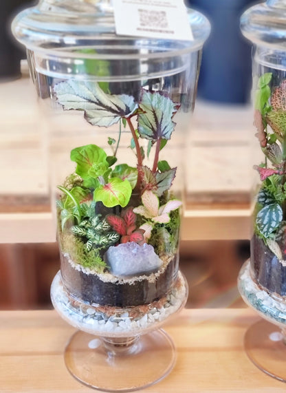 Terrarium ExtraTall