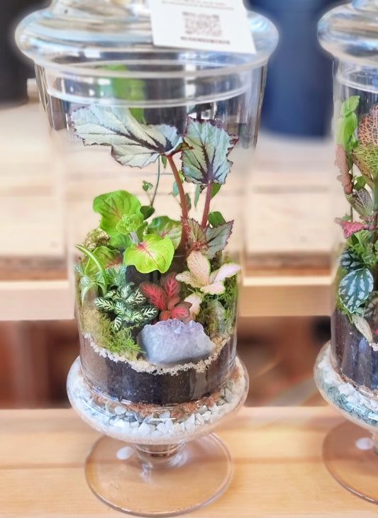 Terrarium ExtraTall